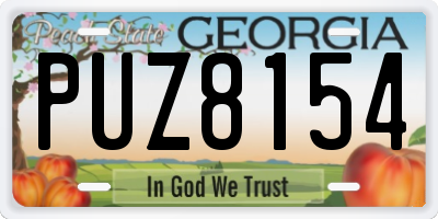 GA license plate PUZ8154