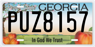GA license plate PUZ8157
