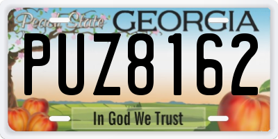 GA license plate PUZ8162