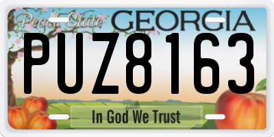GA license plate PUZ8163