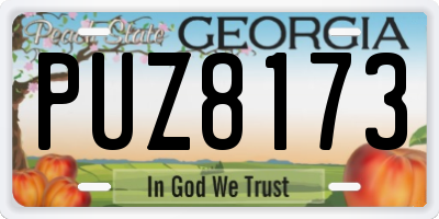 GA license plate PUZ8173
