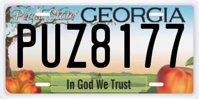 GA license plate PUZ8177