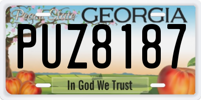 GA license plate PUZ8187
