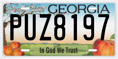 GA license plate PUZ8197