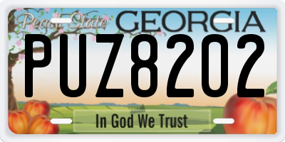 GA license plate PUZ8202