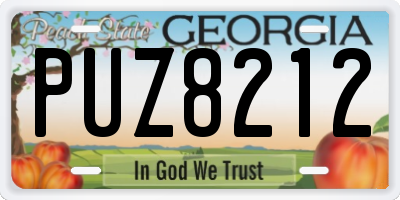 GA license plate PUZ8212