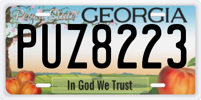 GA license plate PUZ8223