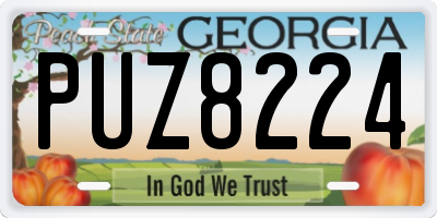 GA license plate PUZ8224
