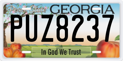 GA license plate PUZ8237