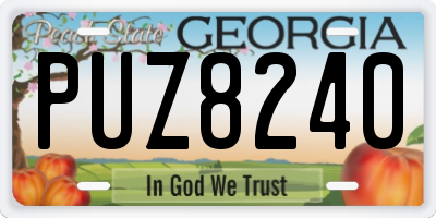 GA license plate PUZ8240