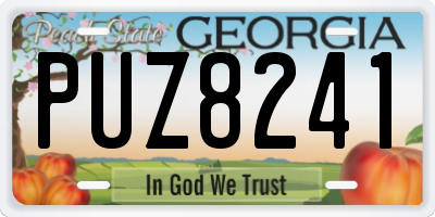 GA license plate PUZ8241