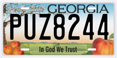 GA license plate PUZ8244