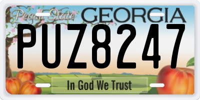 GA license plate PUZ8247