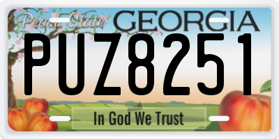 GA license plate PUZ8251