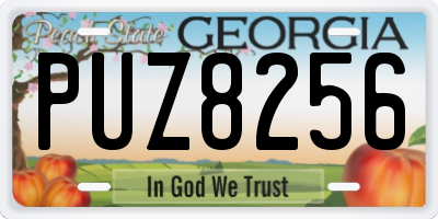 GA license plate PUZ8256