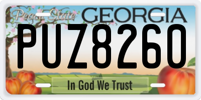 GA license plate PUZ8260