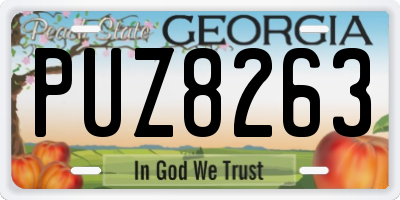 GA license plate PUZ8263