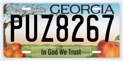 GA license plate PUZ8267