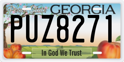 GA license plate PUZ8271