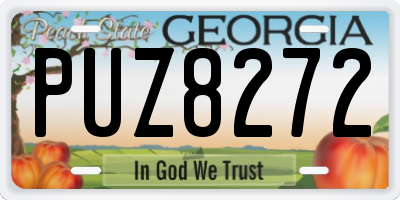 GA license plate PUZ8272