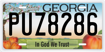 GA license plate PUZ8286