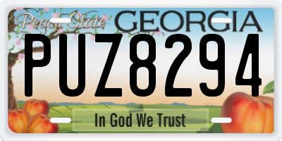 GA license plate PUZ8294