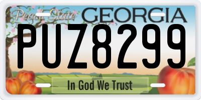 GA license plate PUZ8299