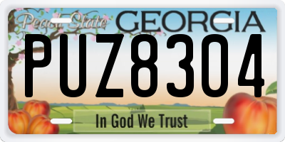 GA license plate PUZ8304