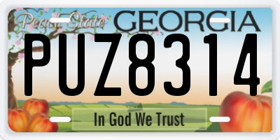 GA license plate PUZ8314