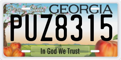 GA license plate PUZ8315