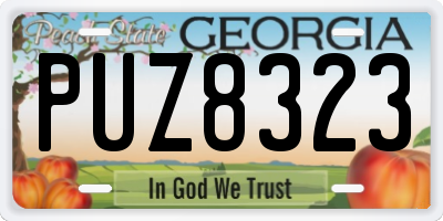 GA license plate PUZ8323