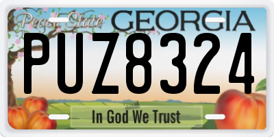 GA license plate PUZ8324