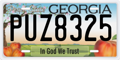 GA license plate PUZ8325