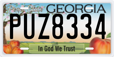 GA license plate PUZ8334