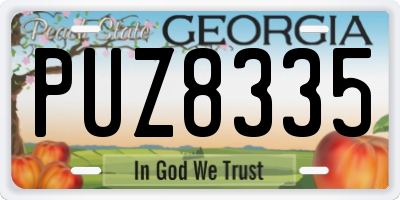 GA license plate PUZ8335
