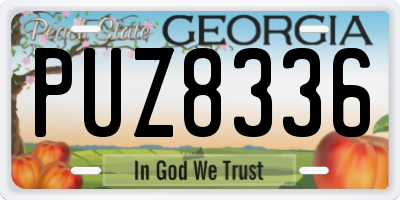 GA license plate PUZ8336
