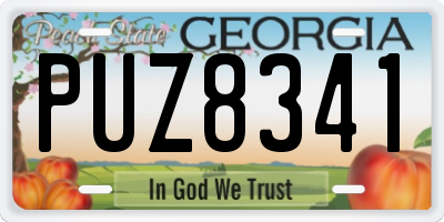 GA license plate PUZ8341