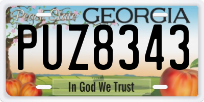 GA license plate PUZ8343