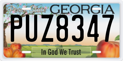 GA license plate PUZ8347