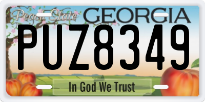 GA license plate PUZ8349