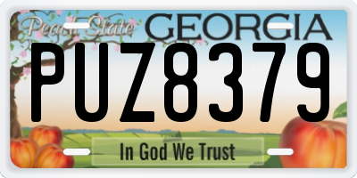 GA license plate PUZ8379
