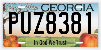 GA license plate PUZ8381