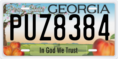 GA license plate PUZ8384