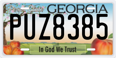 GA license plate PUZ8385