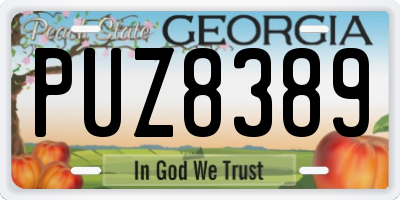 GA license plate PUZ8389