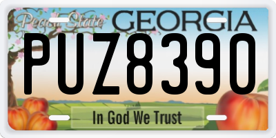 GA license plate PUZ8390