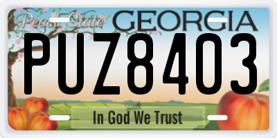 GA license plate PUZ8403