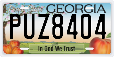 GA license plate PUZ8404