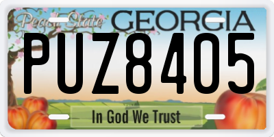 GA license plate PUZ8405