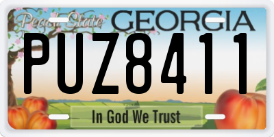 GA license plate PUZ8411